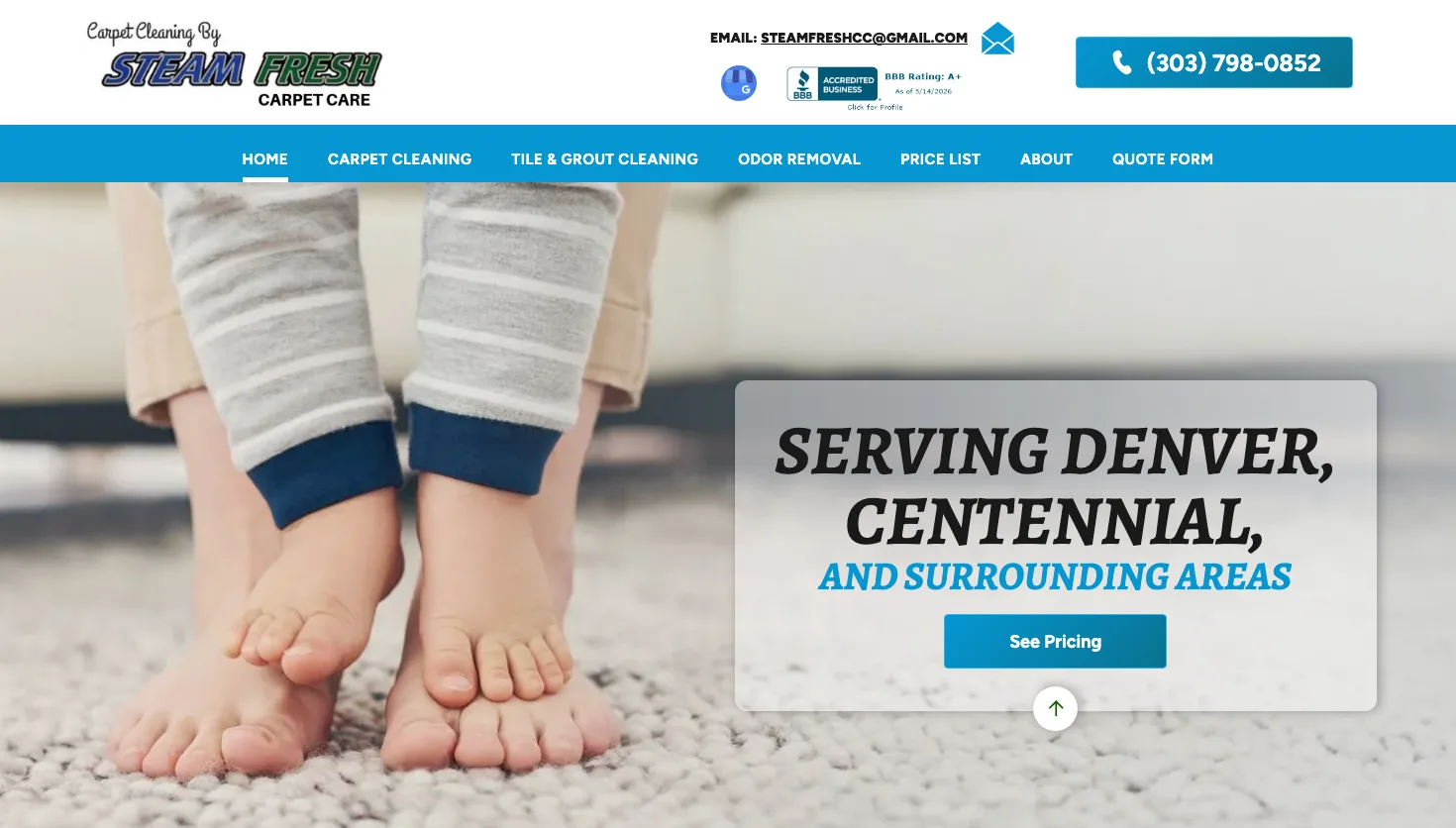 Steam Fresh Carpet Care website screenshot