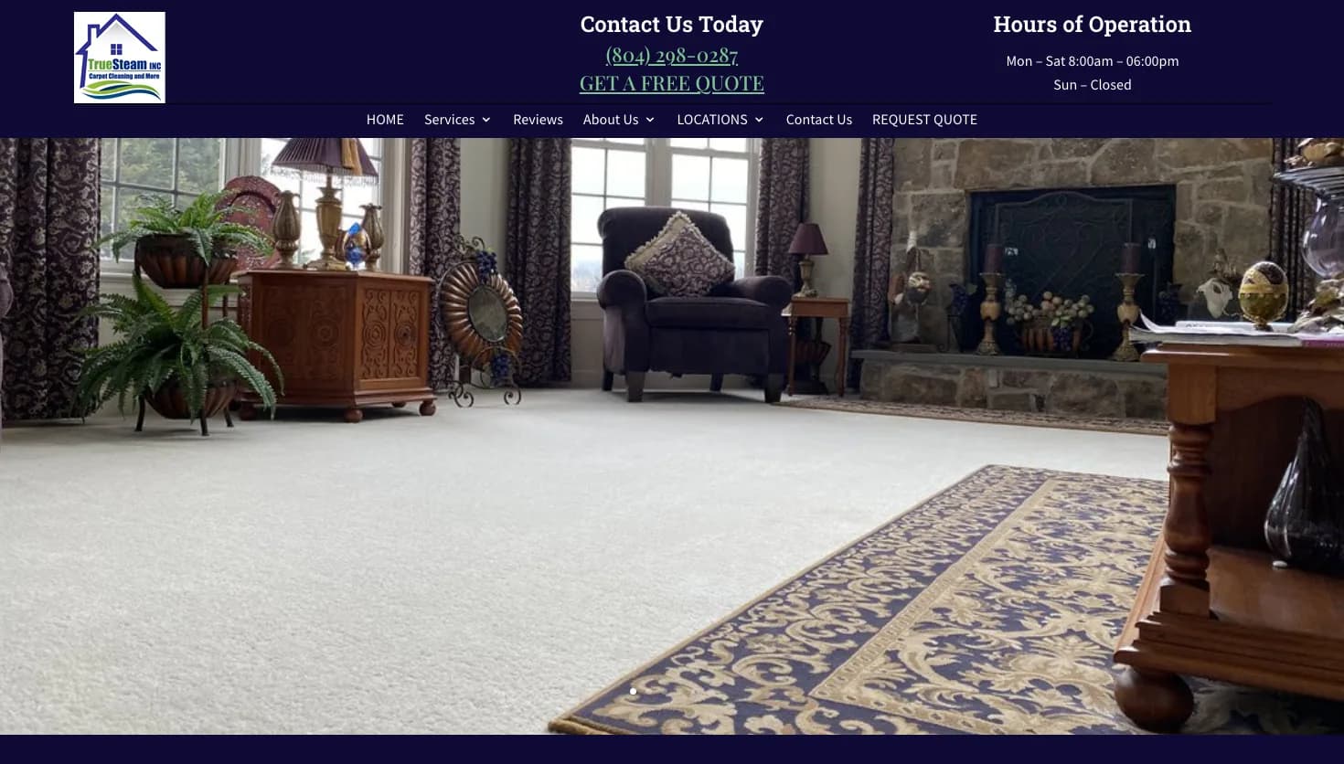 True Steam LLC website screenshot