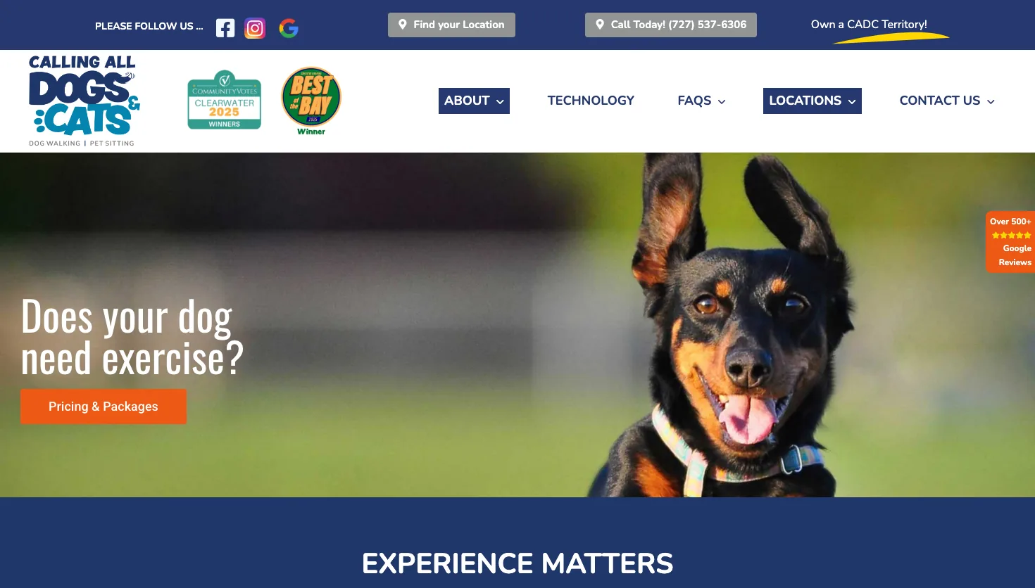 Calling All Dogs & Cats of Tampa website screenshot