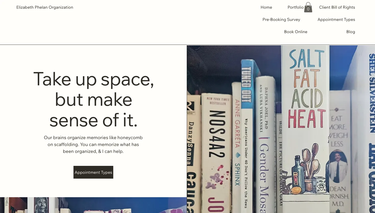 Elizabeth Phelan Organization website screenshot