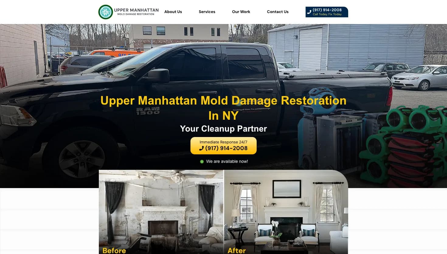 Upper Manhattan Mold Damage Restoration website screenshot