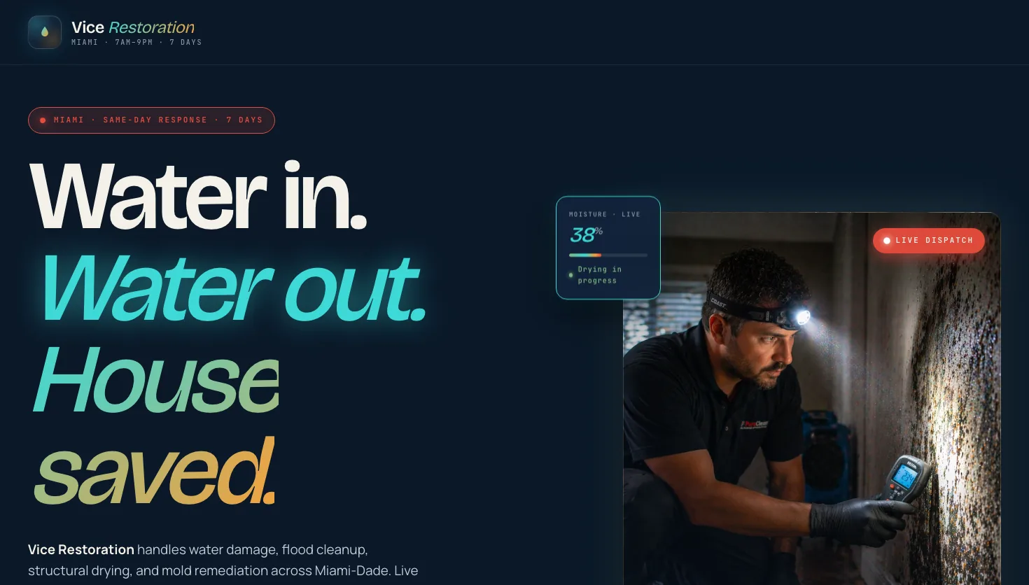 Vice Restoration website screenshot