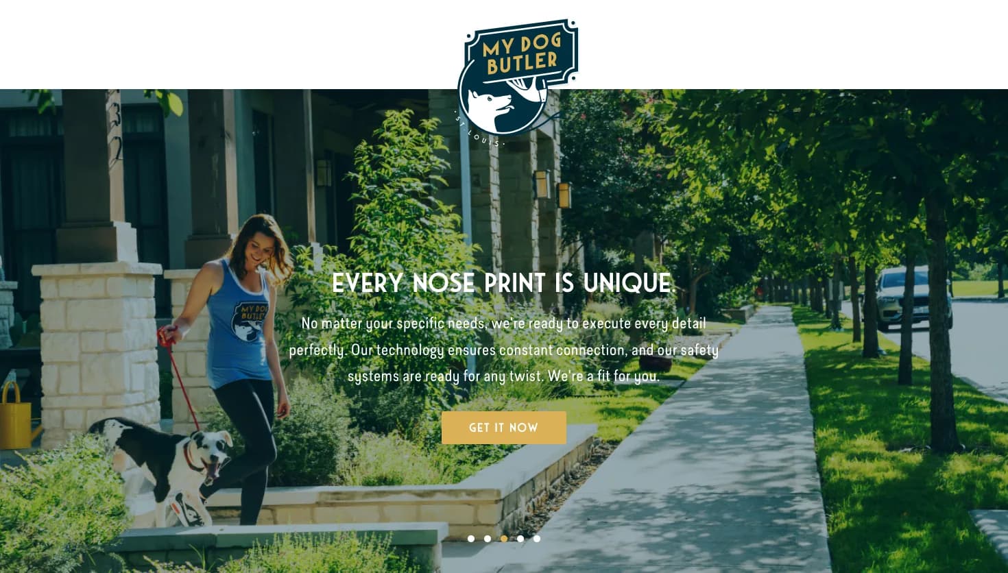Saint Louis Dog Butler website screenshot