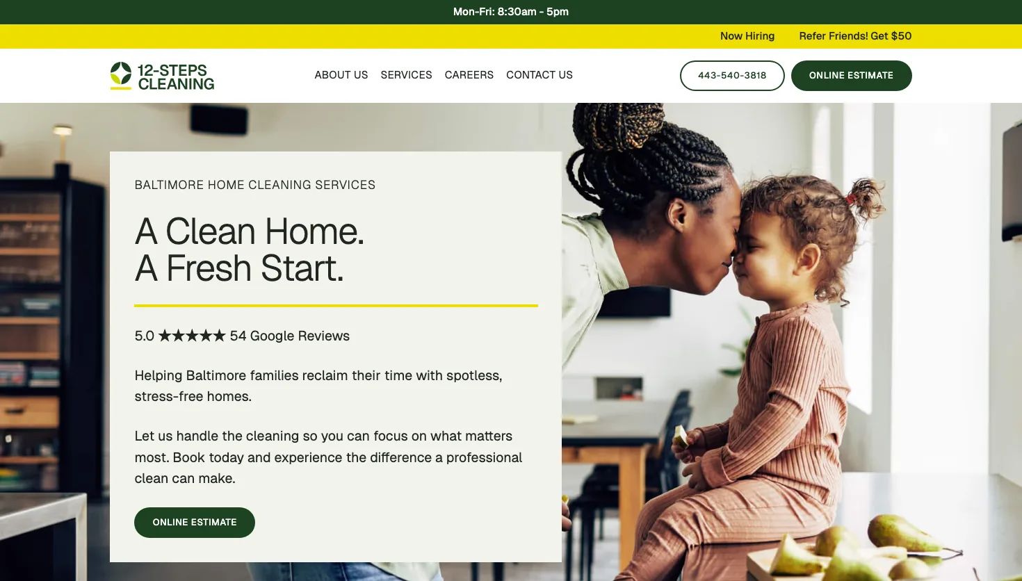 12-Steps Cleaning website screenshot