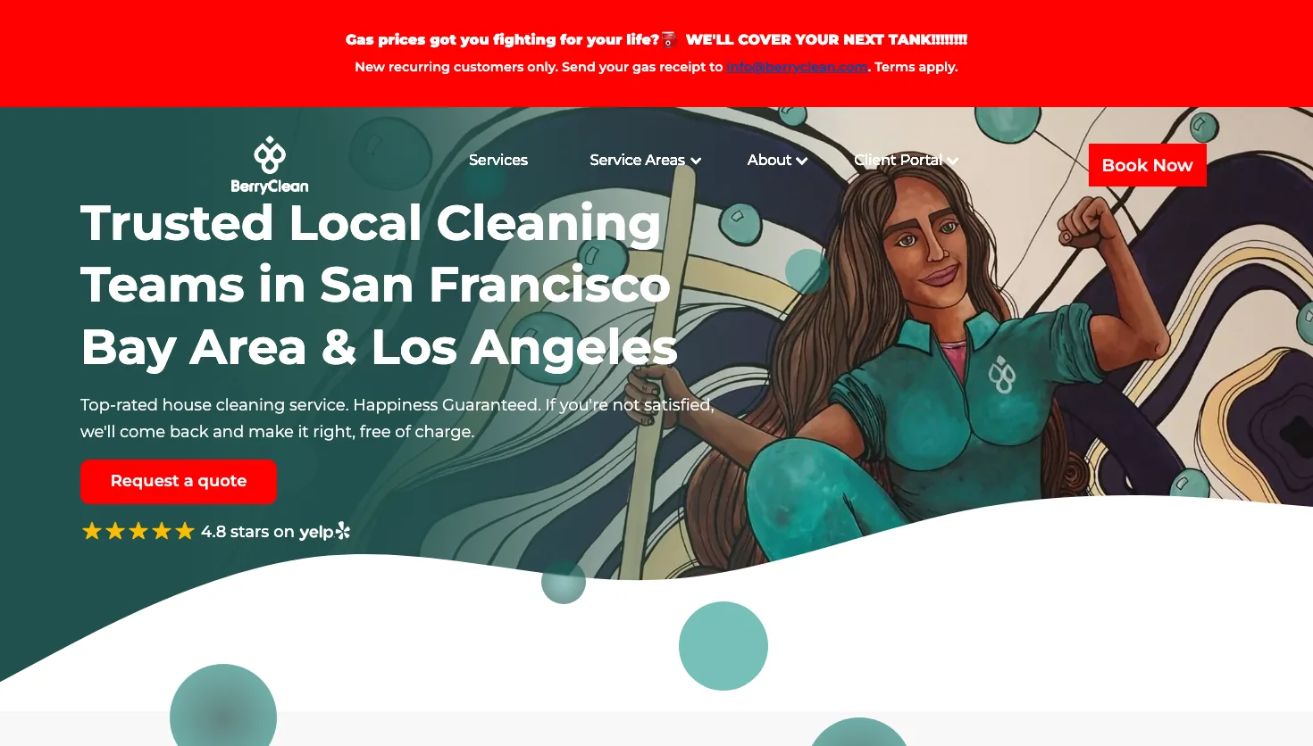 BerryClean website screenshot