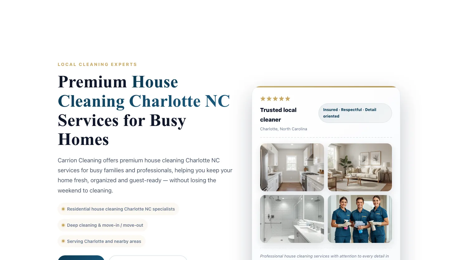 Carrion Cleaning website screenshot