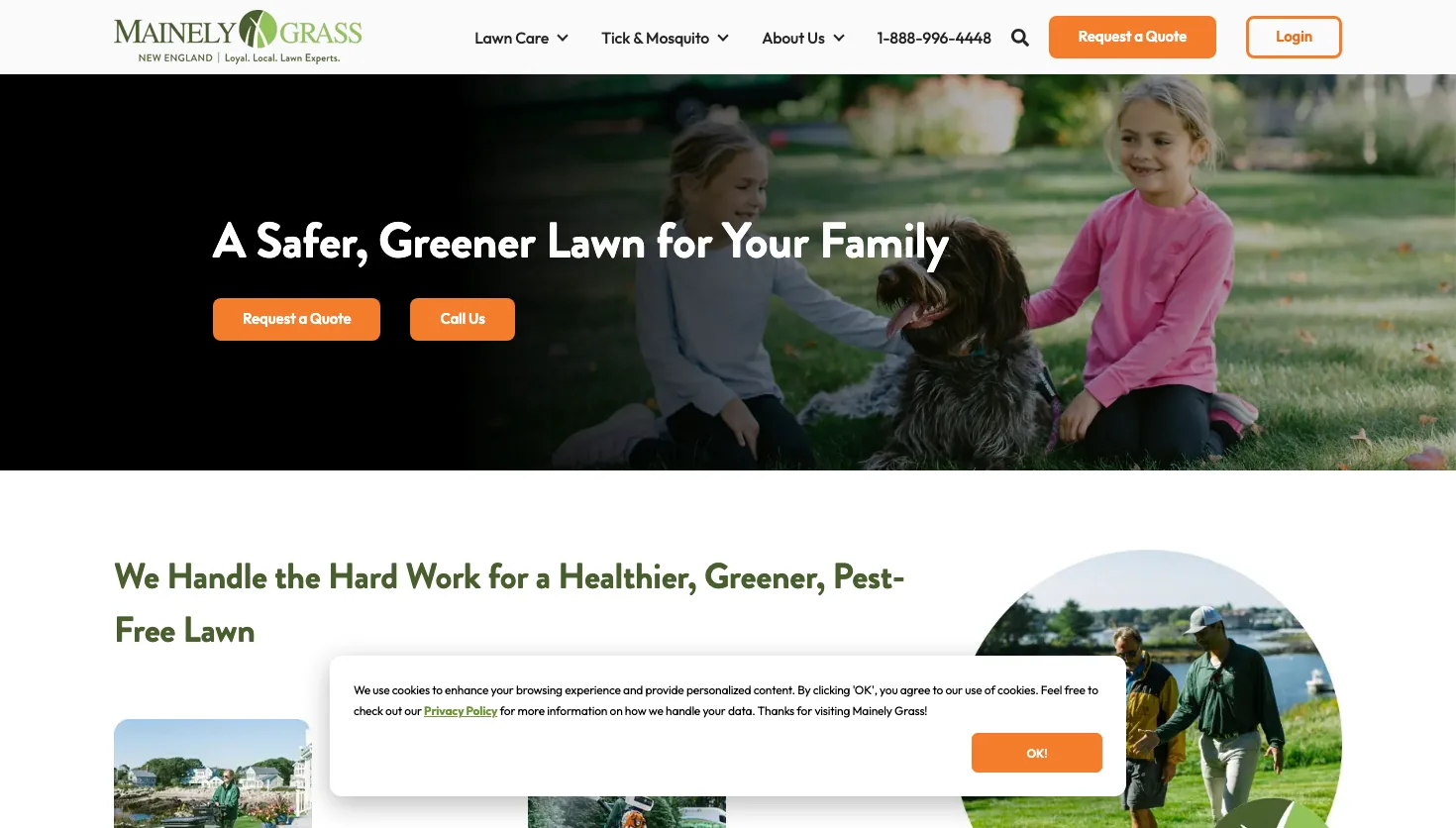 Mainely Grass website screenshot