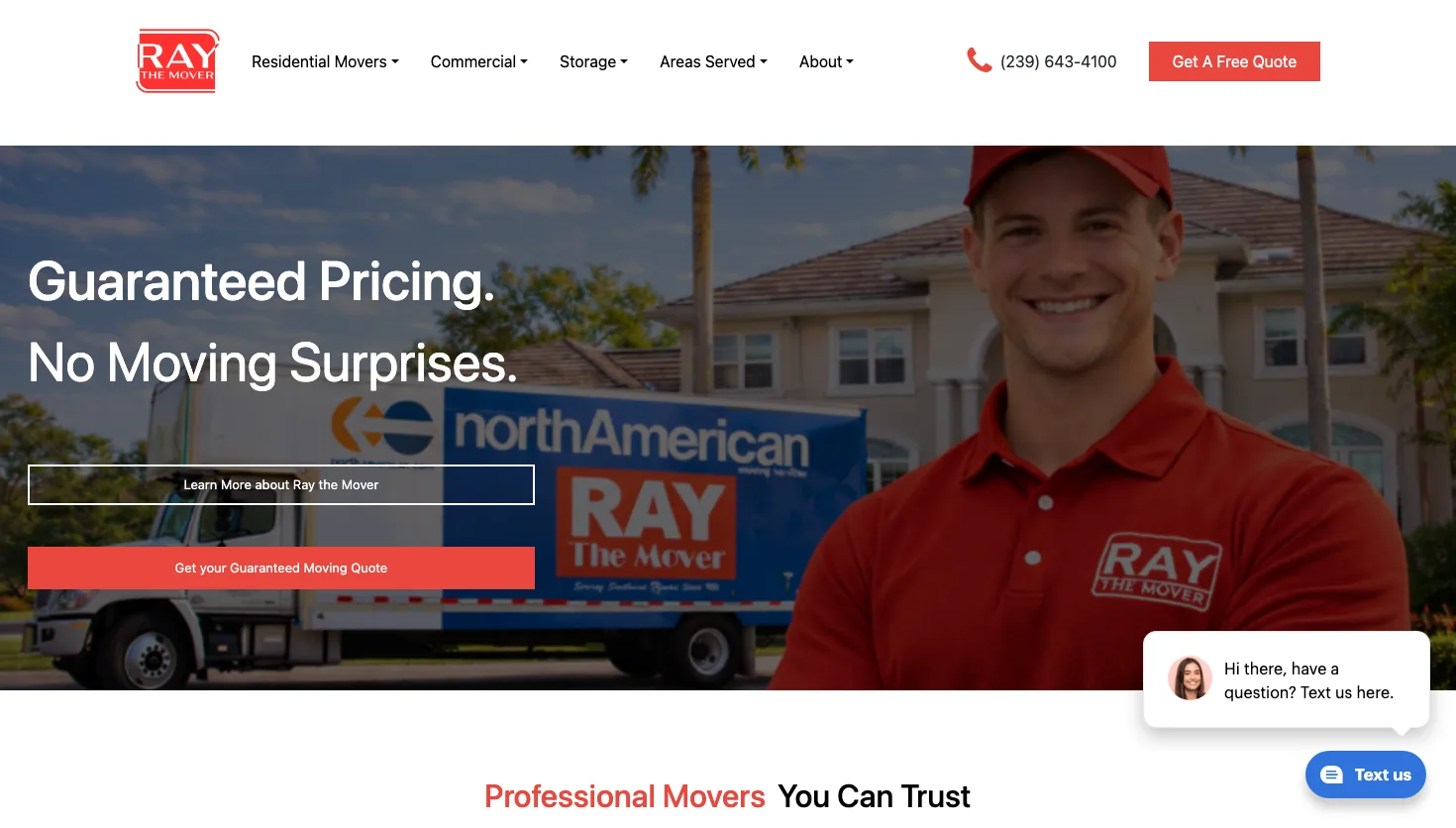 Ray The Mover website screenshot