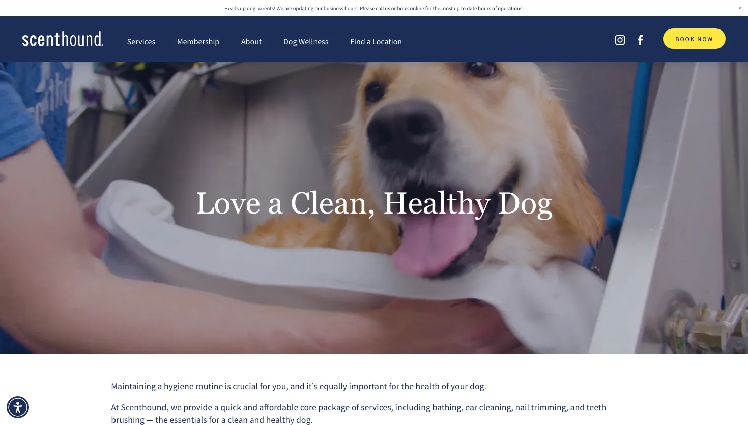 Scenthound East Nashville website screenshot