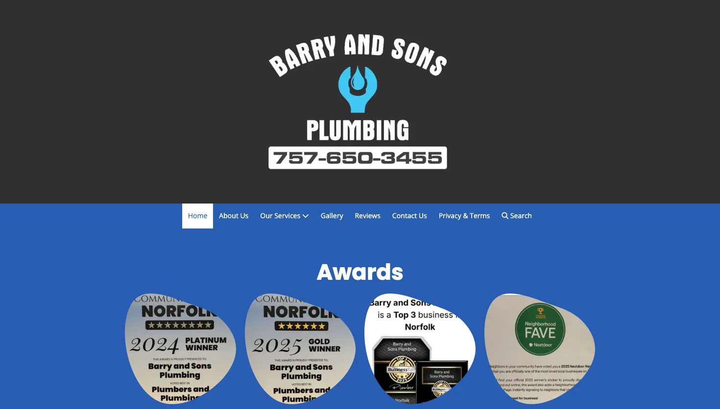 Barry and Sons Plumbing website screenshot