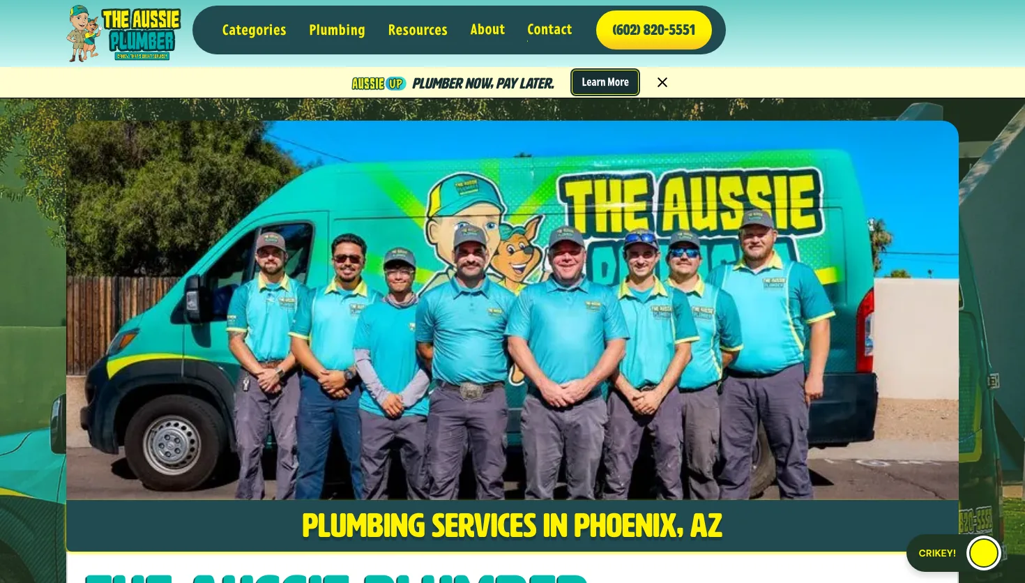 The Aussie Plumber website screenshot