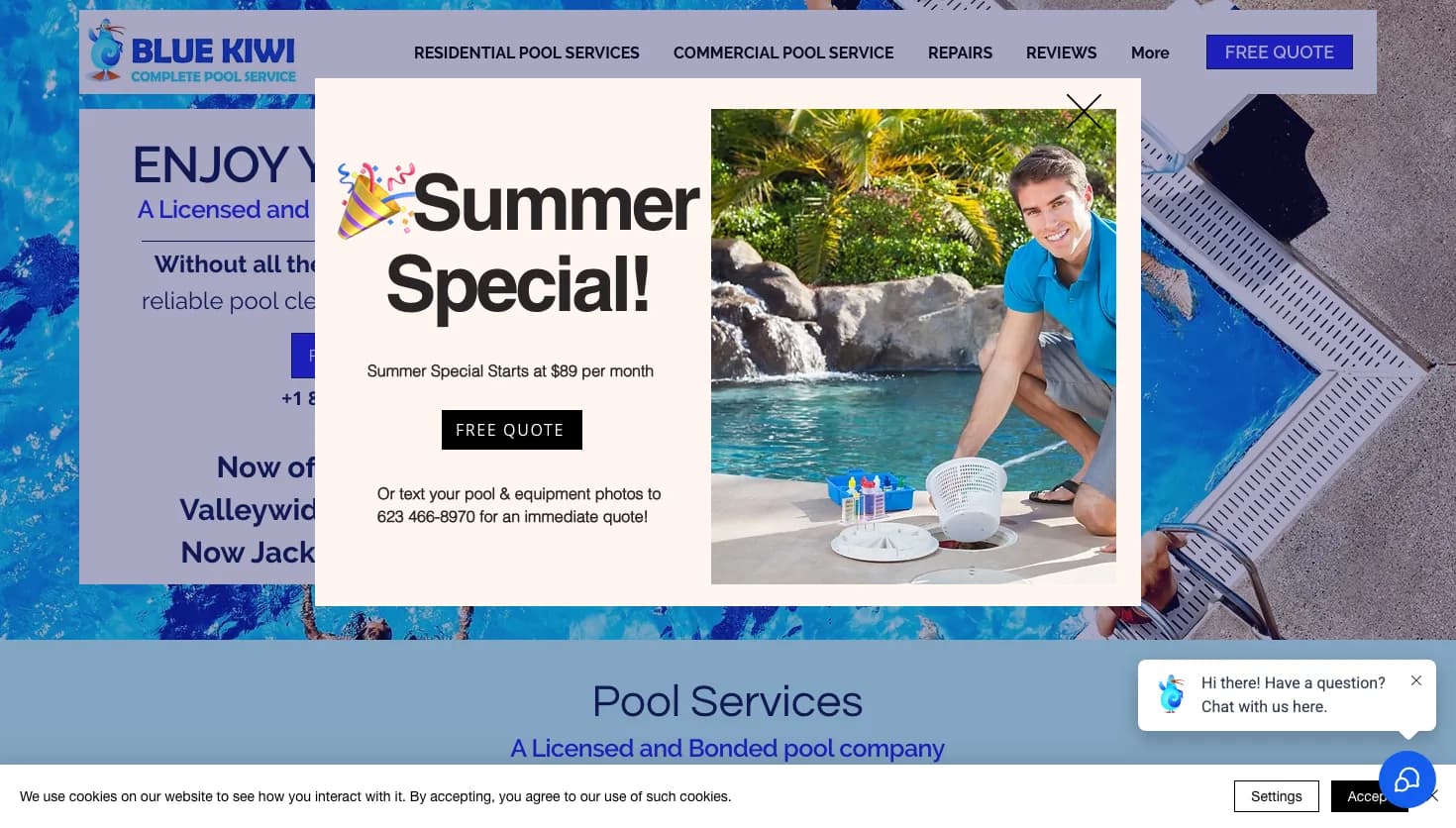 Blue Kiwi Pools - Cleaning & Maintenance website screenshot