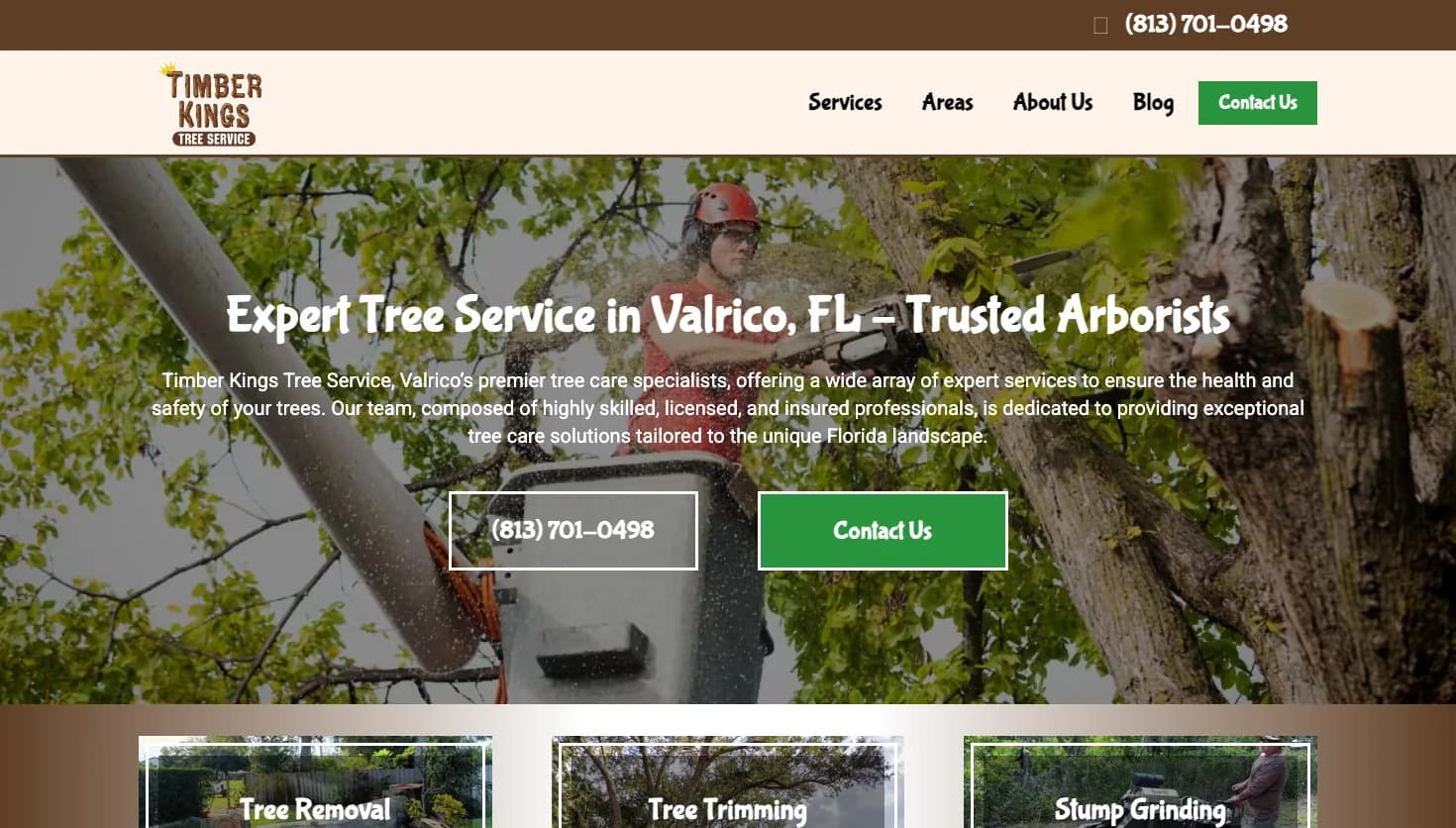 Timber Kings Tree Service website screenshot