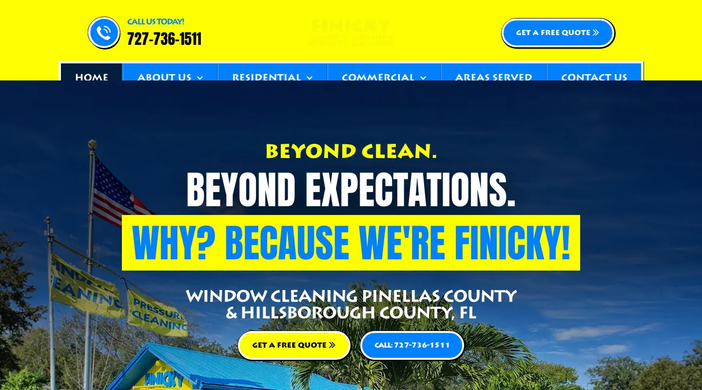 Finicky Window Cleaning website screenshot