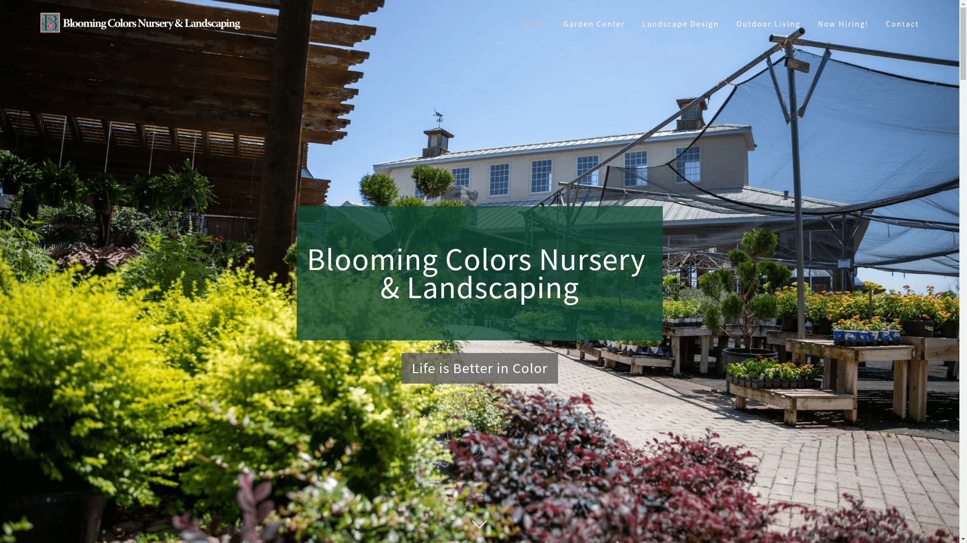 Blooming Colors Nursery & Landscape Design website screenshot
