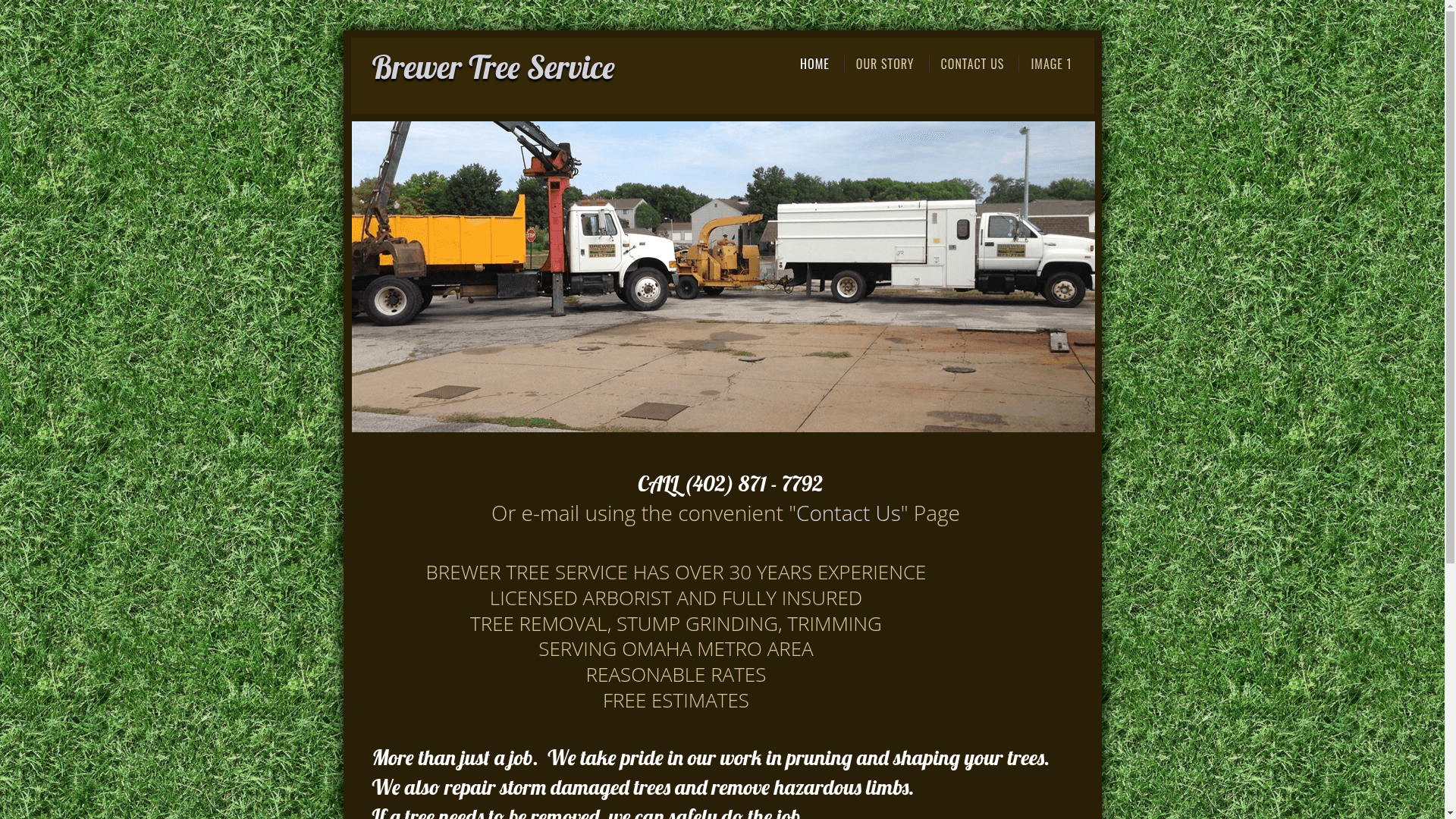 Brewer Tree Service website screenshot