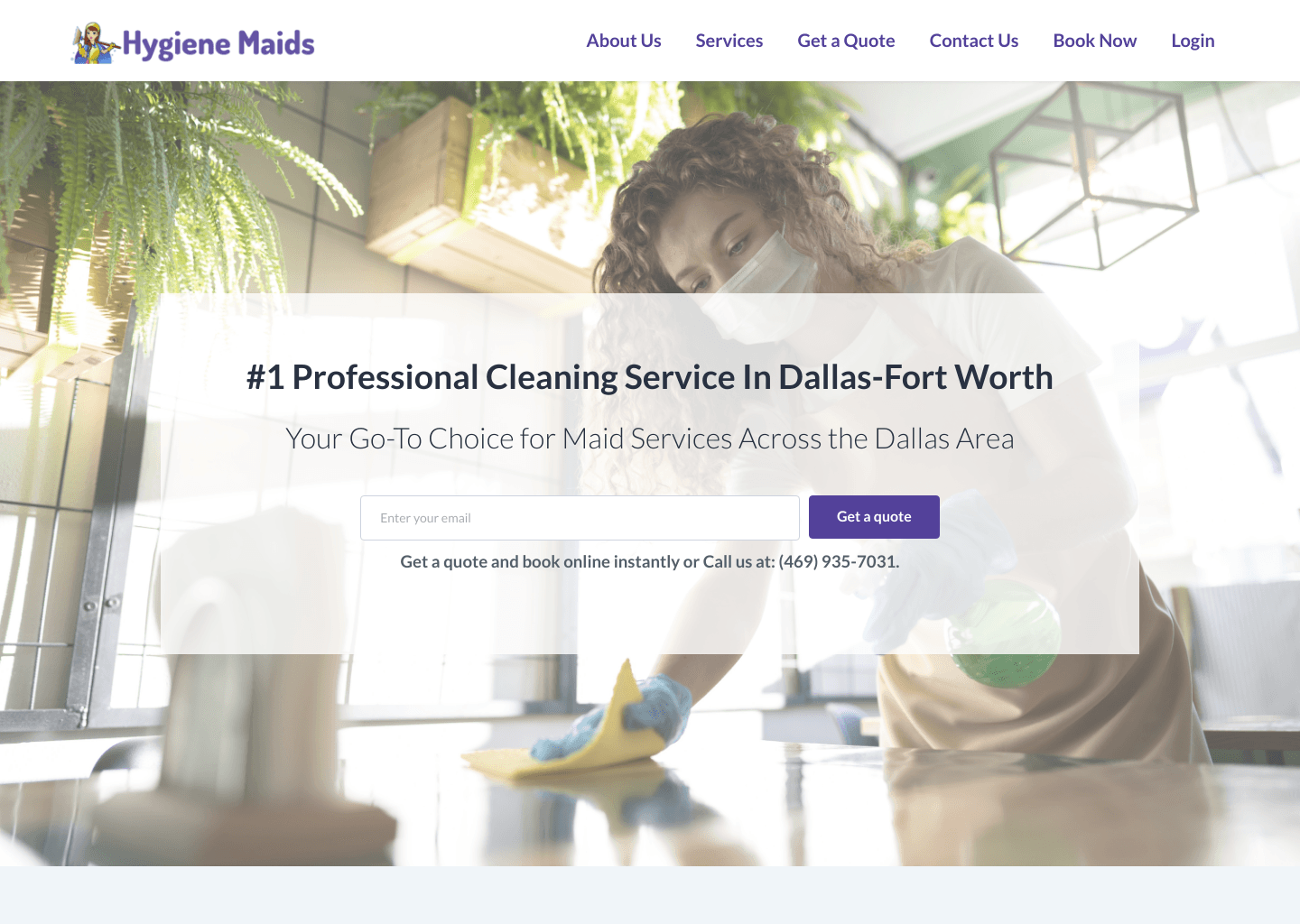 Hygiene Maids website screenshot