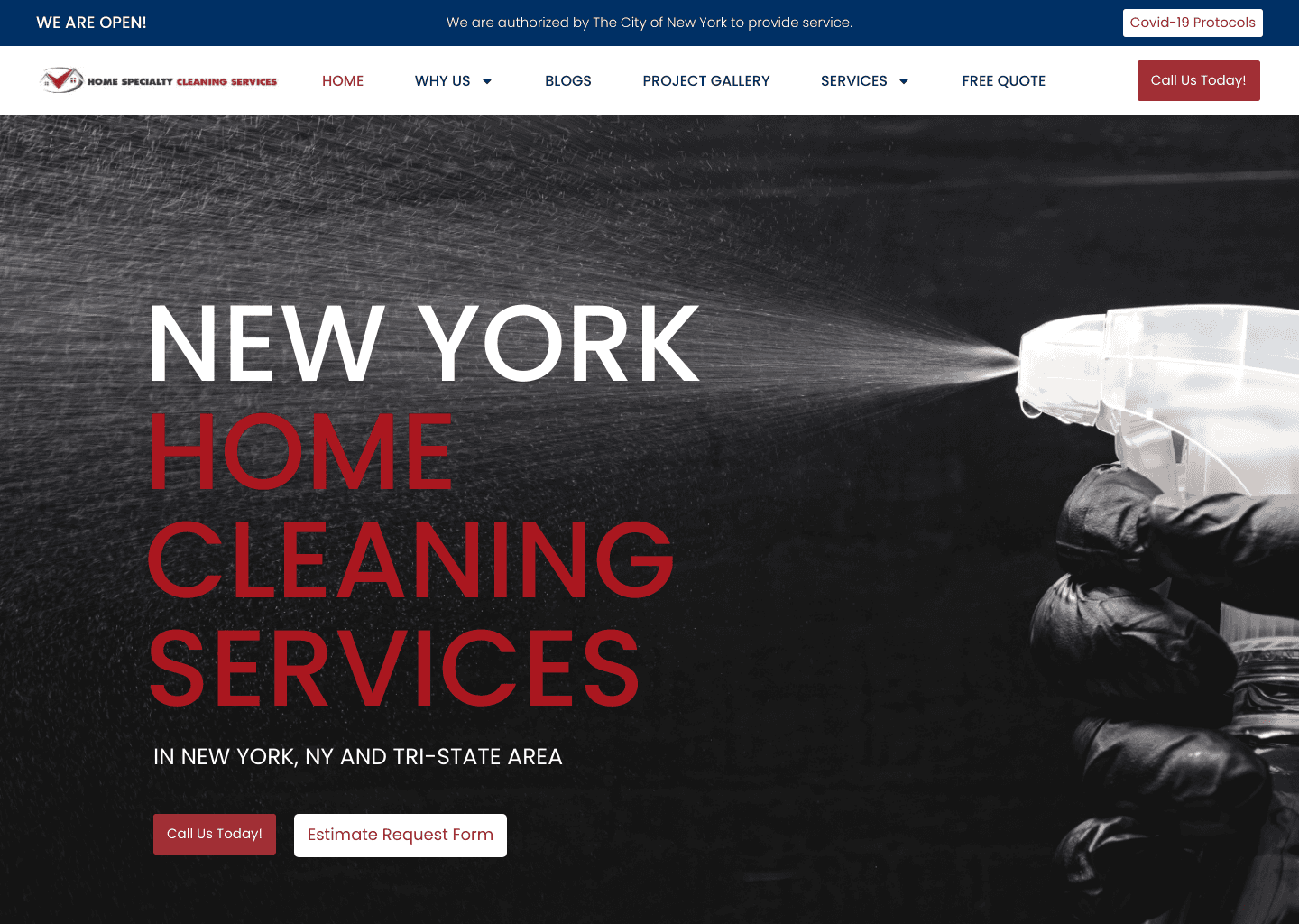 Home Specialty Cleaning Services website screenshot