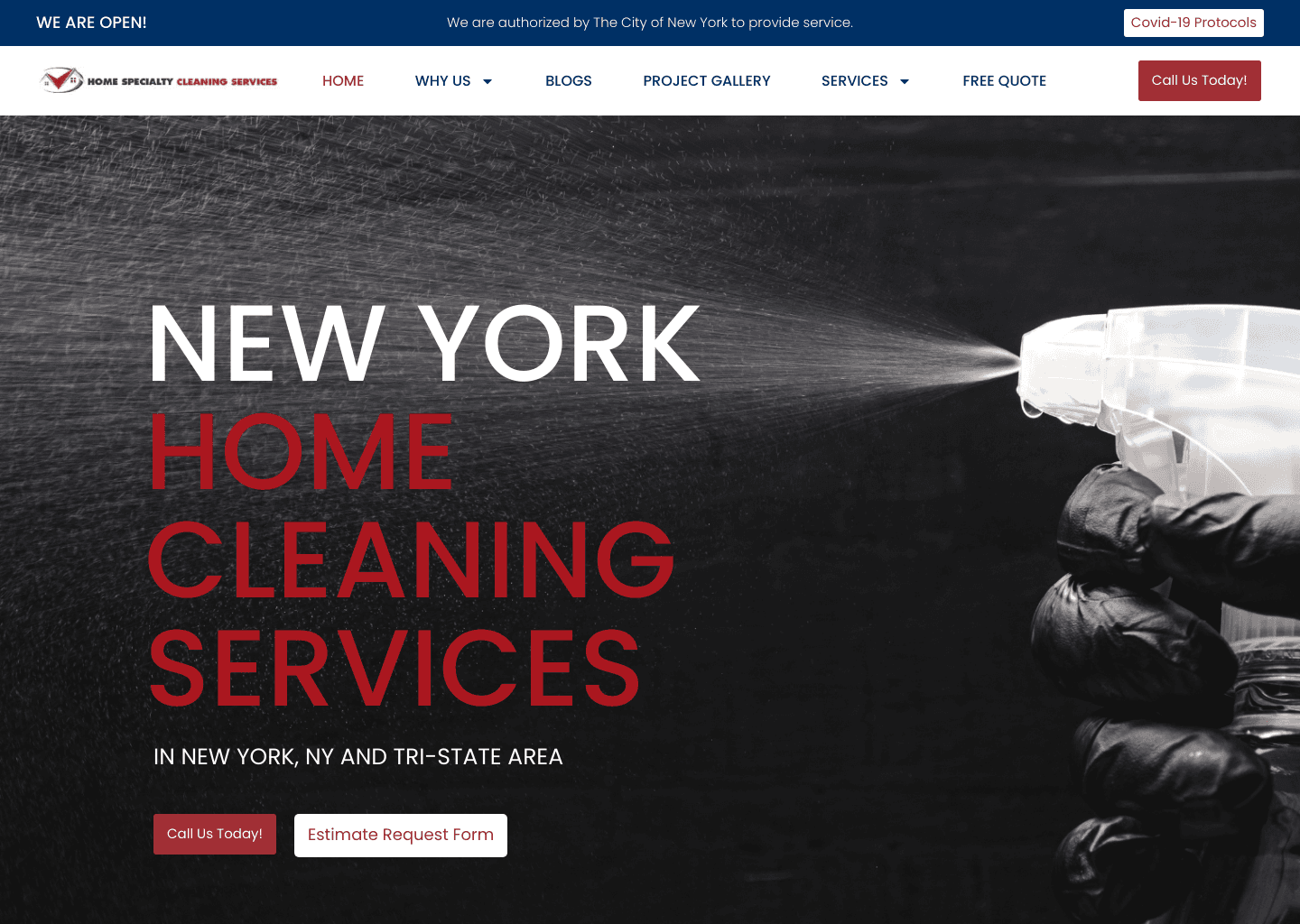 Home Specialty Cleaning Services website screenshot