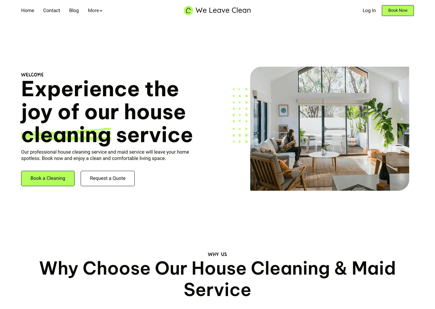We Leave Clean website screenshot