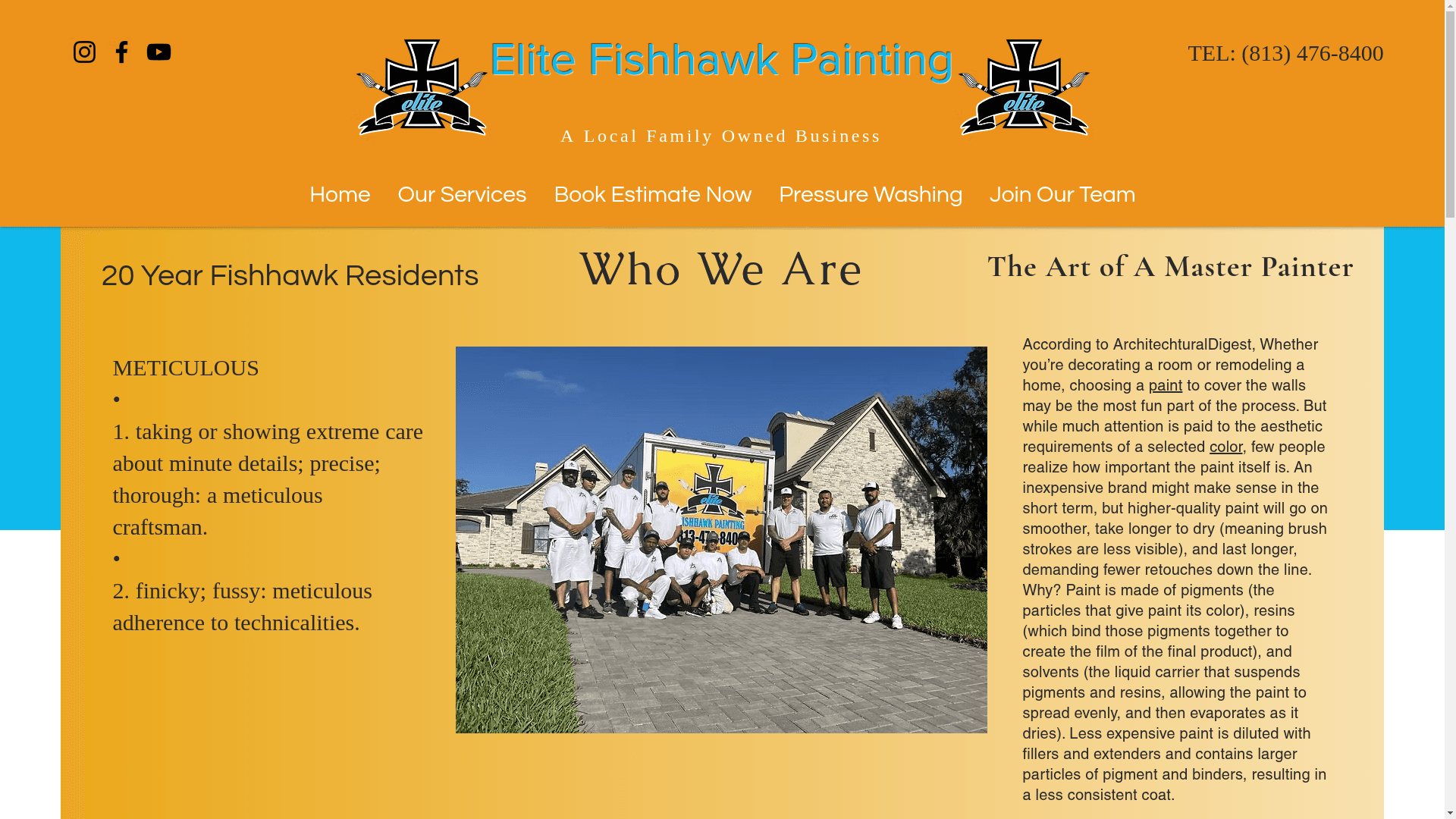 Elite Fishhawk Painting & Pressure Washing website screenshot