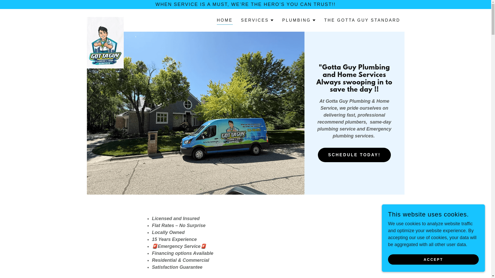 Gotta Guy Plumbing & Home Services website screenshot