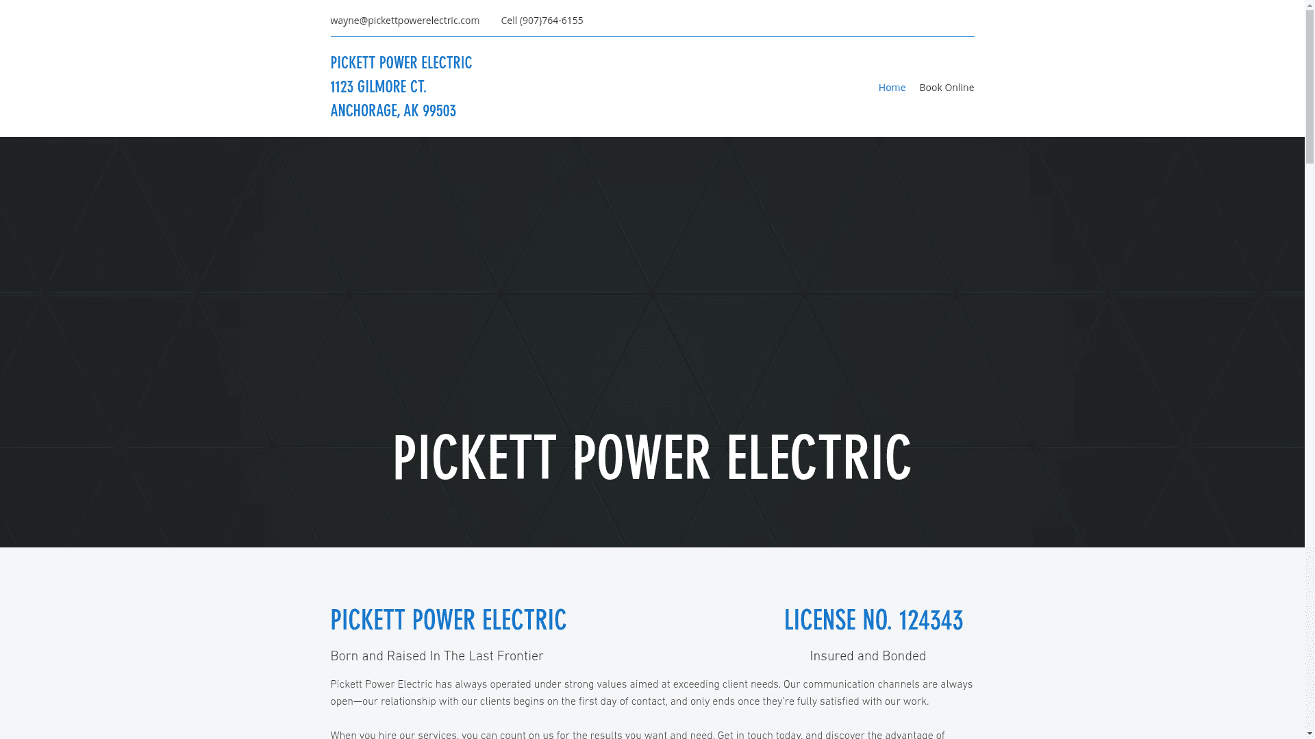 Pickett Power Electric website screenshot
