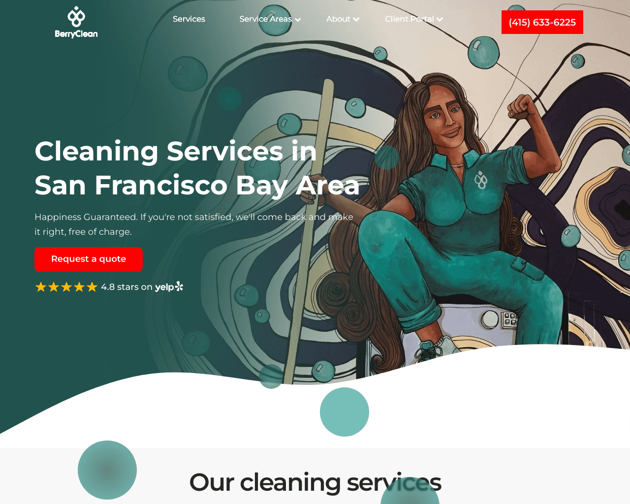 BerryClean website screenshot